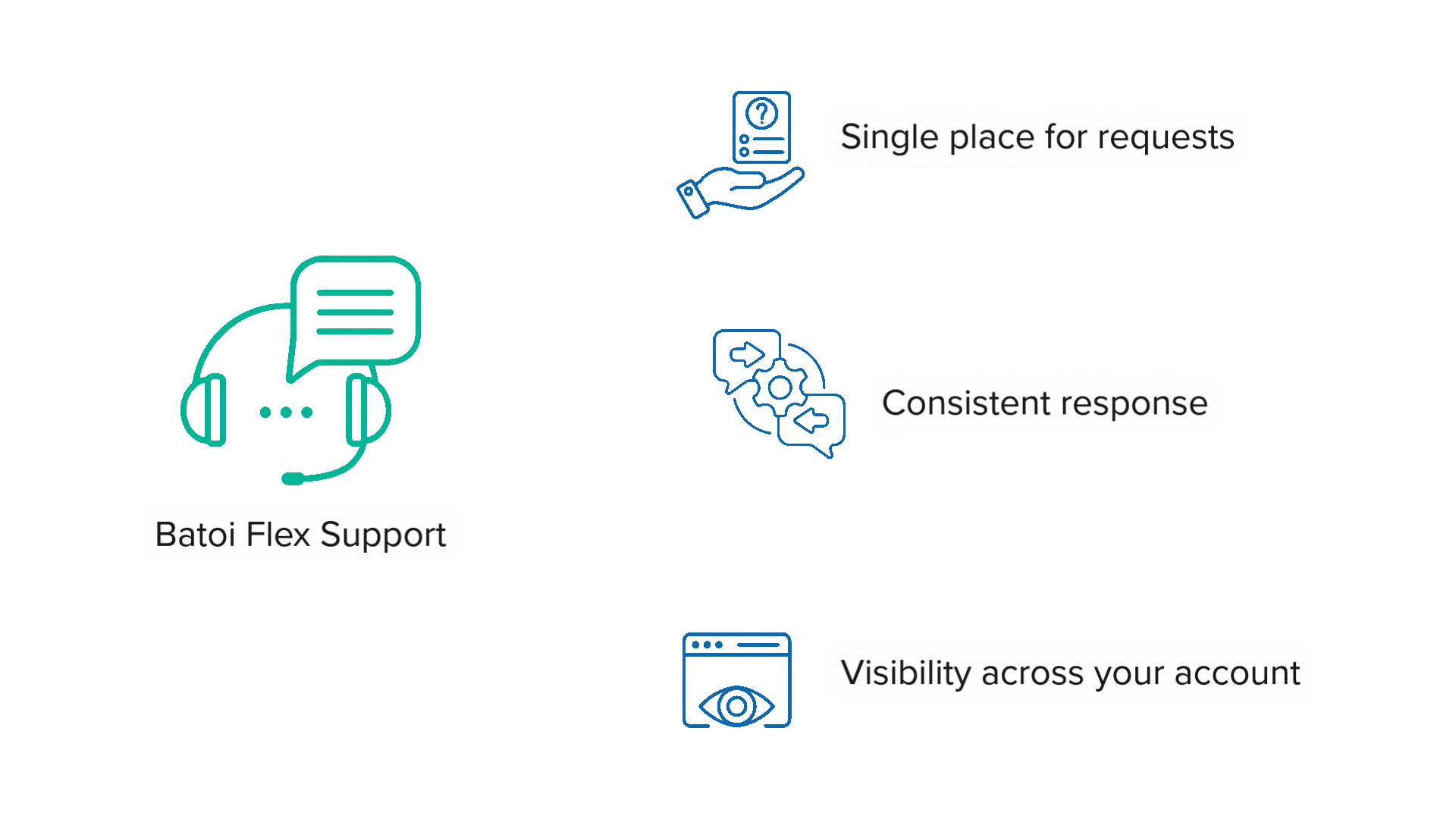 Support for Batoi Flex Banner